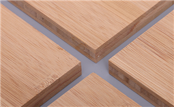 Bamboo Plywood 15mm
